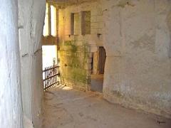 149 Chateau de Breze_000058